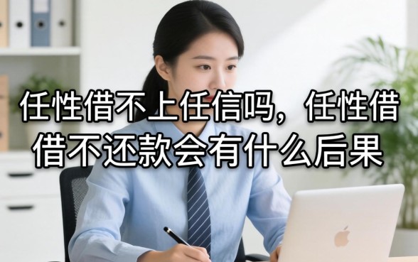 任性借不还款会有什么后果