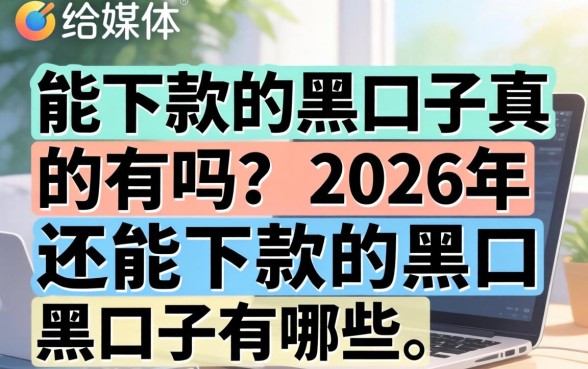 能下款的黑口子真的有吗？2026年还能下款的黑口子有哪些