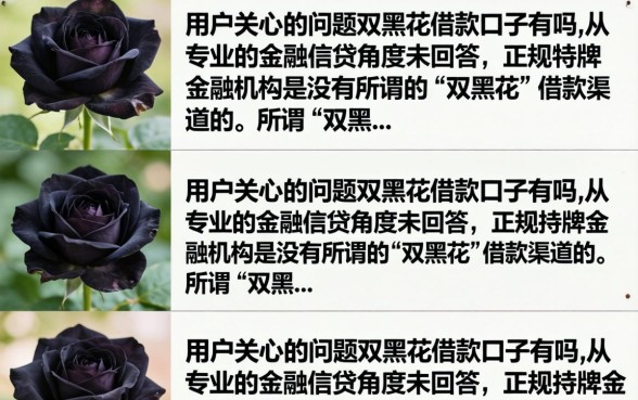 双黑花借款口子有吗