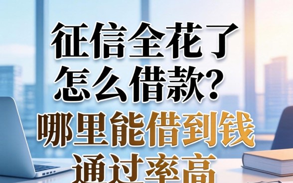 征信全花了怎么借款？哪里能借到钱通过率高