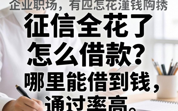 征信全花了怎么借款?哪里能借到钱通过率高 哪里能借到钱通过率高