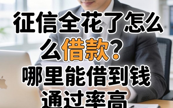 征信全花了怎么借款?哪里能借到钱通过率高 哪里能借到钱通过率高