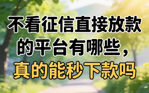 不看征信直接放款的平台有哪些，真的能秒下款吗