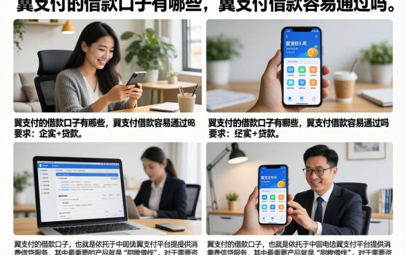 翼支付的借款口子有哪些,翼支付借款容易通过吗