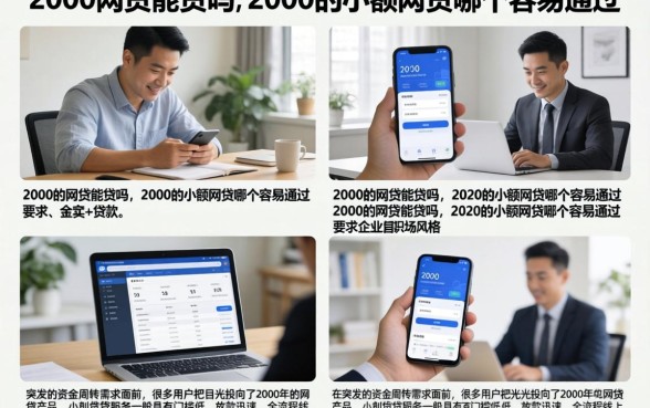2000的网贷能贷吗,2000的小额网贷哪个容易通过