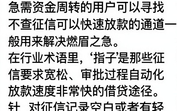 不查询征信急速下款的口子有哪些？不查征信秒下款的正规平台推荐