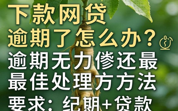 下款网贷逾期了怎么办？逾期无力偿还最佳处理方法