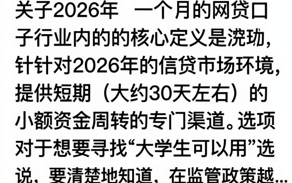 2026一个月的网贷口子有哪些,2026年网贷口子容易下款吗