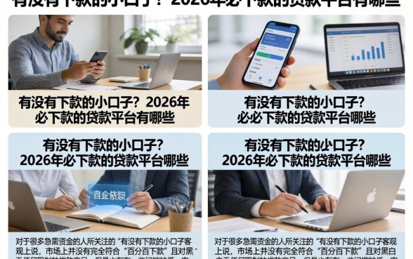 有没有下款的小口子？2026年必下款的贷款平台有哪些