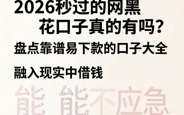 2026秒过的网黑花口子真的有吗？盘点靠谱易下款的口子大全