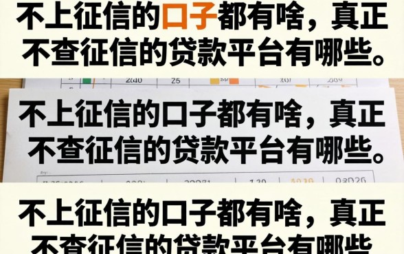 不上征信的口子都有啥，真正不查征信的贷款平台有哪些
