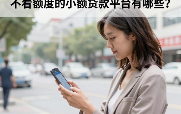 不看额度的小额贷款平台有哪些？无视额度秒下款的口子推荐