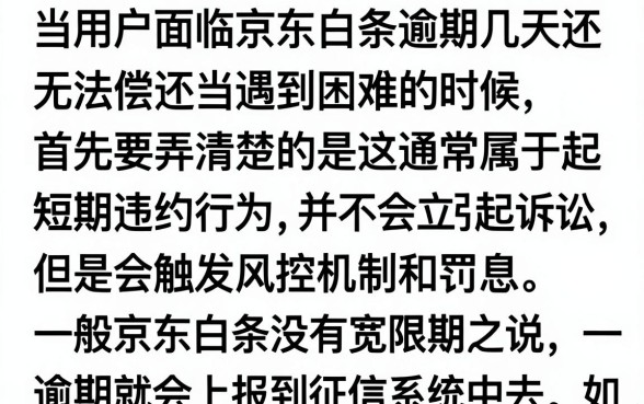 京东白条逾期几天还不了怎么办，逾期多久会上征信名单