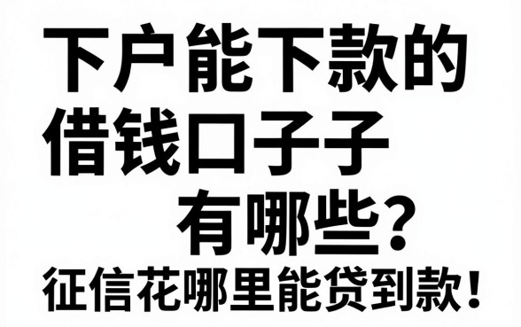 下户能下款的借钱口子有哪些？征信花哪里能贷到款？