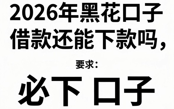 2026年黑花口子借款还能下款吗，揭秘最新黑户必下口子