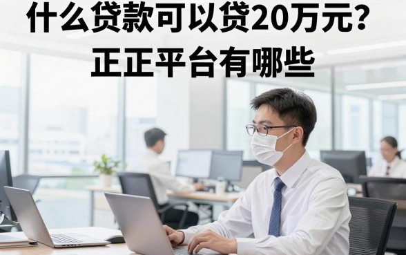 什么贷款可以贷20万元？正规平台有哪些