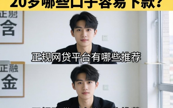 20岁哪些口子容易下款？正规网贷平台有哪些推荐