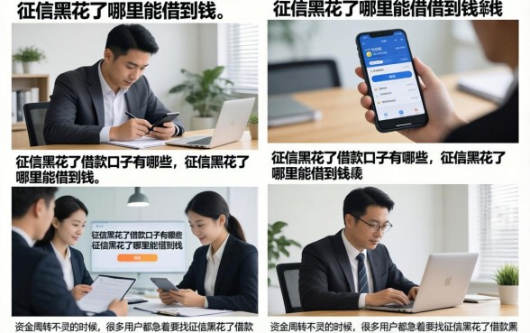 征信黑花了借款口子有哪些，征信黑花了哪里能借到钱