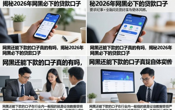 网黑还能下款的口子真的有吗，揭秘2026年网黑必下的贷款口子