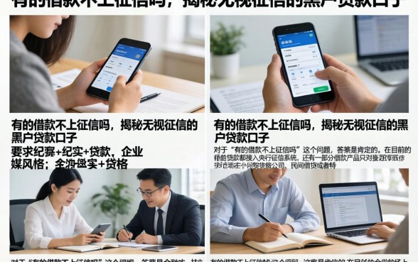 有的借款不上征信吗，揭秘无视征信的黑户贷款口子