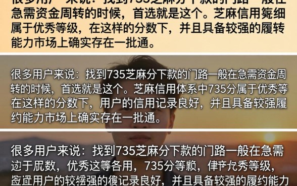 735芝麻分下款的口子有哪些？盘点735分必下的贷款平台