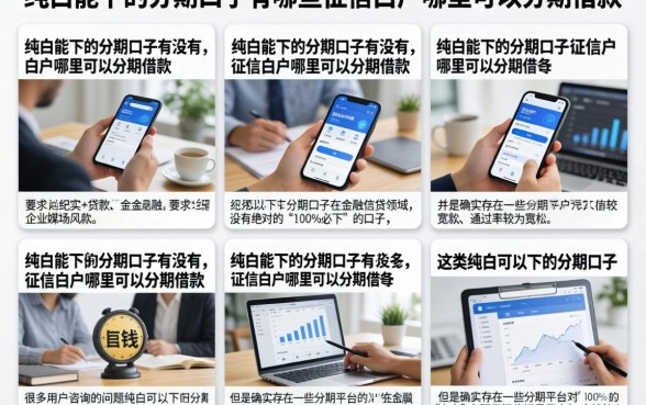 纯白能下的分期口子有哪些，征信白户哪里可以分期借款