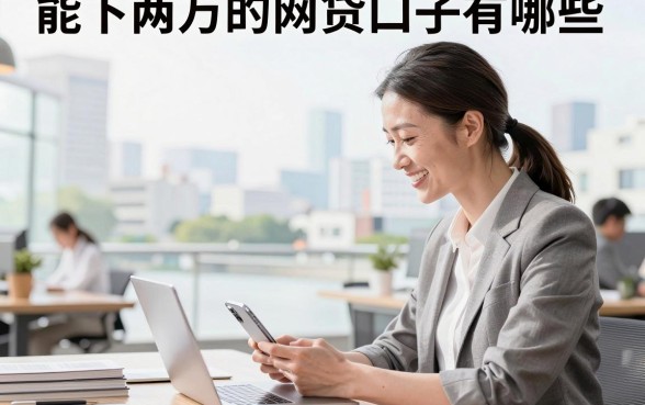 能下两万的网贷口子有哪些，急需大额贷款哪里能快速下款？