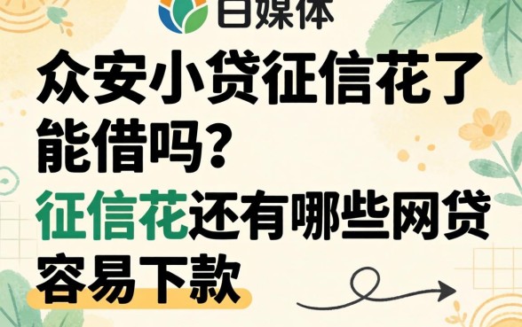 众安小贷征信花了能借吗？征信花还有哪些网贷容易下款