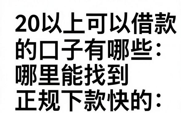 20以上可以借款的口子有哪些，哪里能找到正规下款快的？