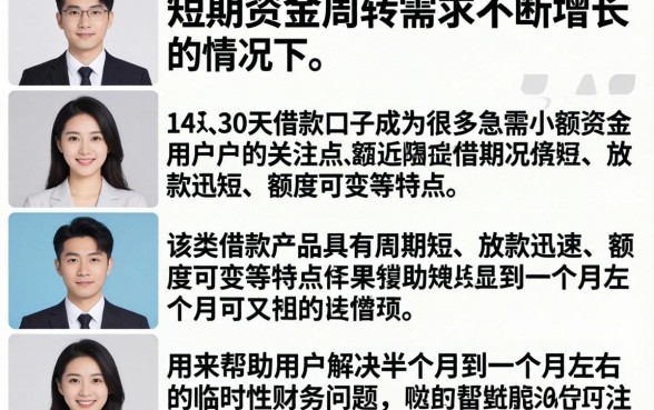 14天30天借款口子有哪些，哪个平台容易下款通过率高