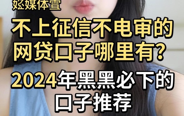 不上征信不电审的网贷口子哪里有？2024年黑户必下的口子推荐