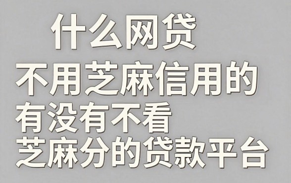 什么网贷不用芝麻信用的，有没有不看芝麻分的贷款平台