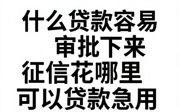什么贷款容易审批下来，征信花哪里可以贷款急用