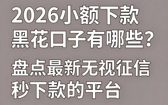 2026小额下款黑花口子有哪些？盘点最新无视征信秒下款的平台