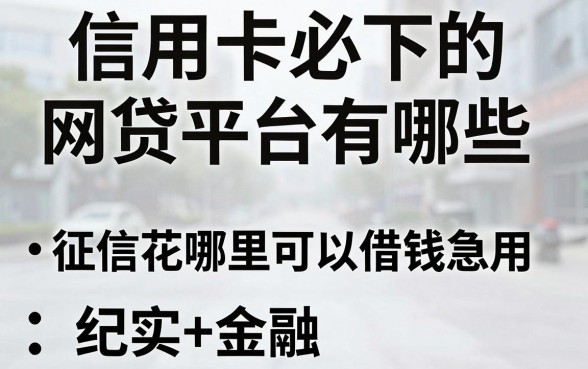 信用卡必下的网贷平台有哪些，征信花哪里可以借钱急用