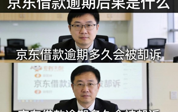 京东借款逾期后果是什么,京东借款逾期多久会被起诉