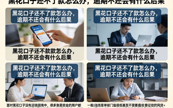 黑花口子还不了款怎么办，逾期不还会有什么后果