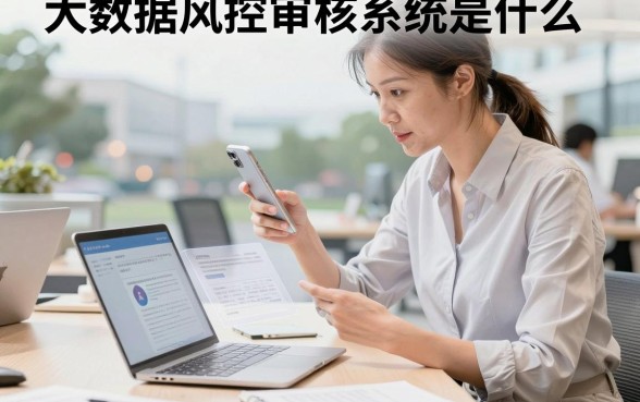 大数据风控审核系统是什么,大数据风控审核系统哪家好