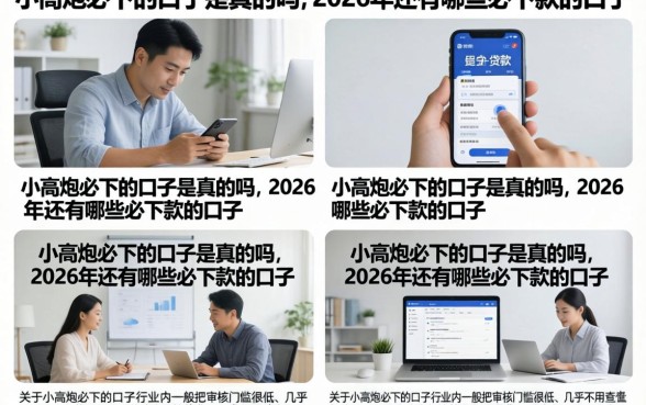 小高炮必下的口子是真的吗,2026年还有哪些必下款的口子