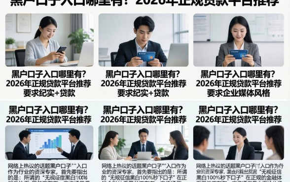黑户口子入口哪里有？2026年正规贷款平台推荐