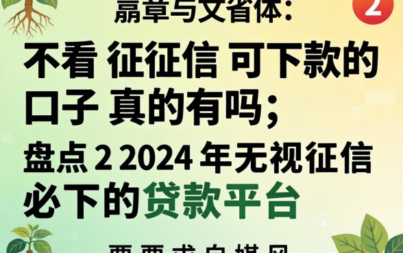 不看征信可下款的口子真的有吗，盘点2024年无视征信必下的贷款平台