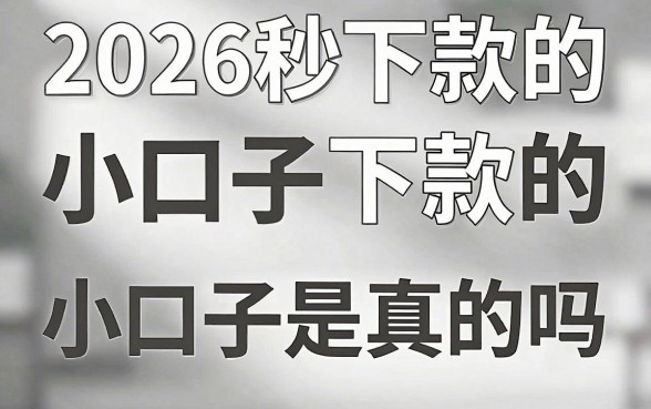 2026秒下款的小口子是真的吗,2026秒下款的小口子哪里找