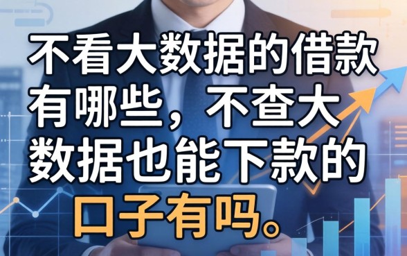 不看大数据的借款有哪些，不查大数据也能下款的口子有吗