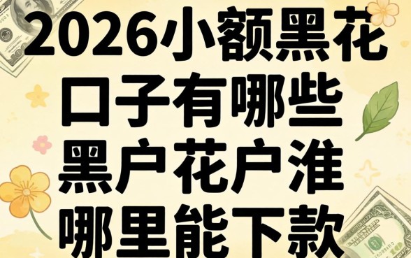 2026小额黑花口子有哪些，黑户花户哪里能下款