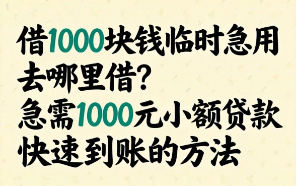 借1000块钱临时急用去哪里借？急需1000元小额贷款快速到账的方法