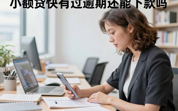 小额贷快有过逾期还能下款吗,征信有逾期哪里可以借钱急用
