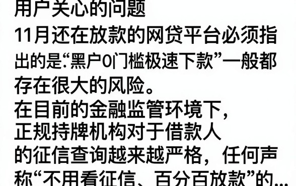11月还下款的网贷口子有哪些？2024最新容易下款的正规网贷推荐