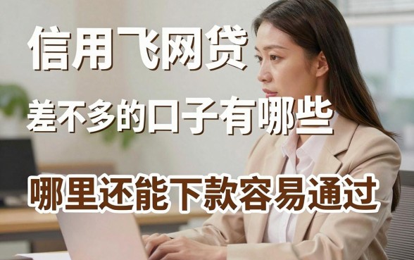 信用飞网贷差不多的口子有哪些,哪里还能下款容易通过?