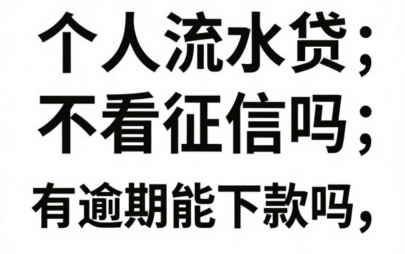 个人流水贷不看征信吗,有逾期记录能下款吗
