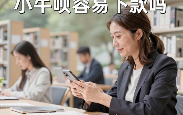 小牛呗容易下款吗，小牛呗审核好通过吗